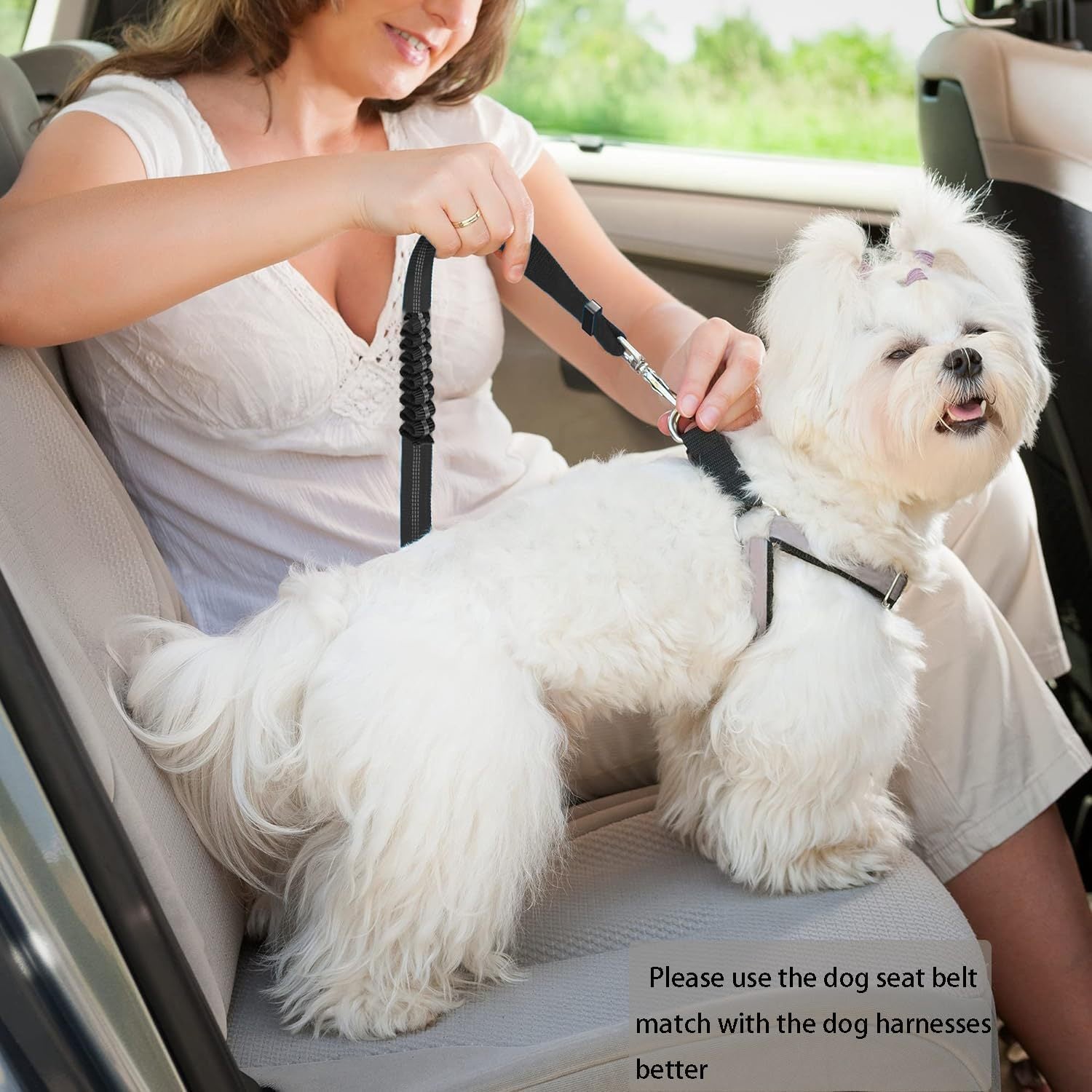 The Ultimate Guide to Hands-Free Dog Walking: Safety, Convenience & Unbreakable Bonds with Your Furry Companion